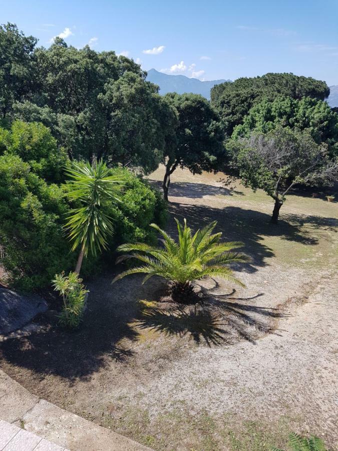 Casa Prescilia Appartement Lumio  Buitenkant foto