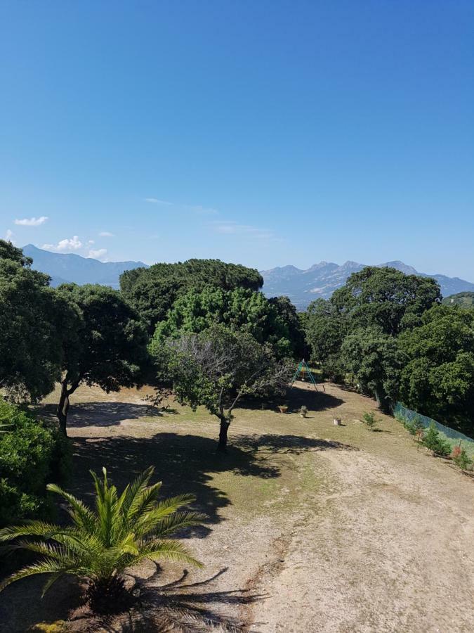 Casa Prescilia Appartement Lumio  Buitenkant foto